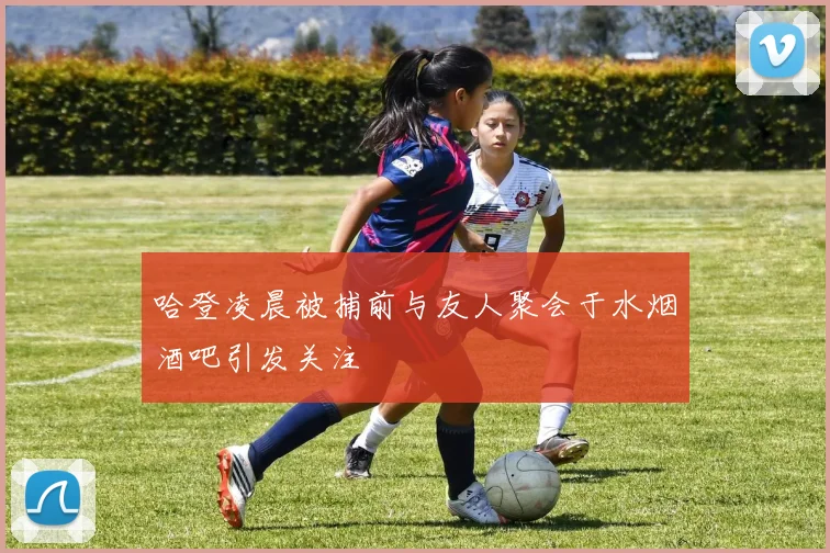 哈登凌晨被捕前与友人聚会于水烟酒吧引发关注