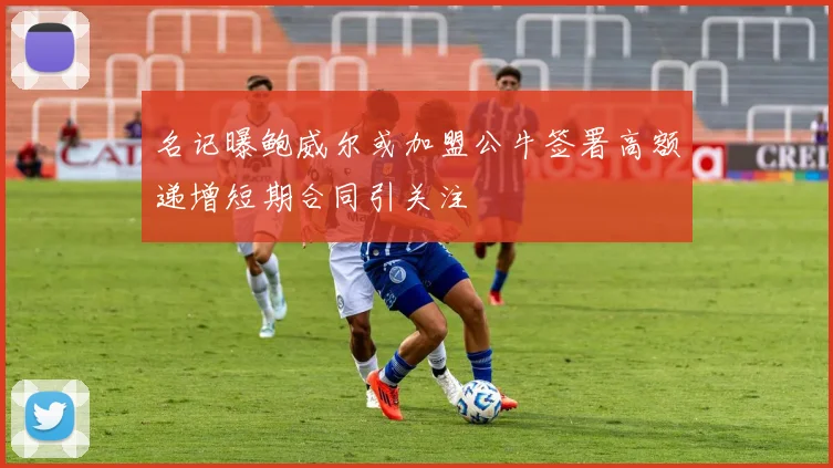 名记曝鲍威尔或加盟公牛签署高额递增短期合同引关注