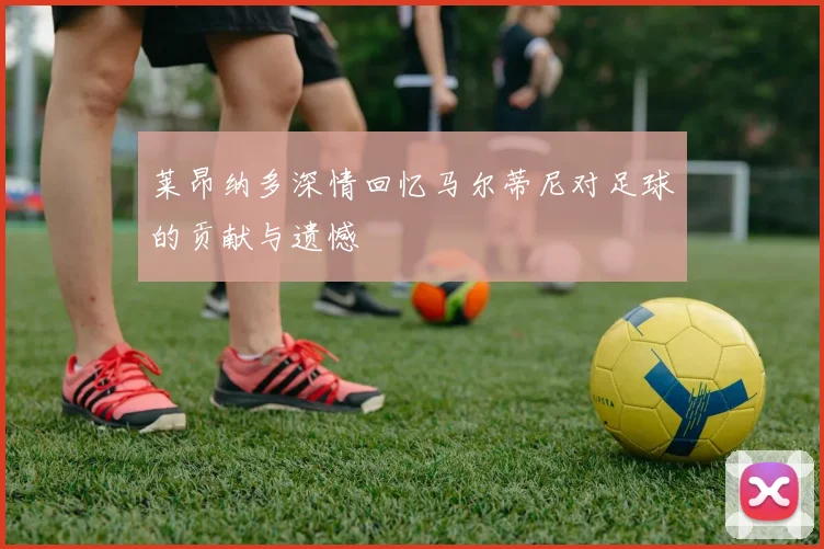 莱昂纳多深情回忆马尔蒂尼对足球的贡献与遗憾