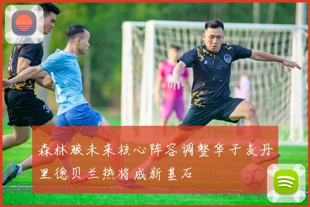 森林狼未来核心阵容调整华子麦丹里德贝兰热将成新基石
